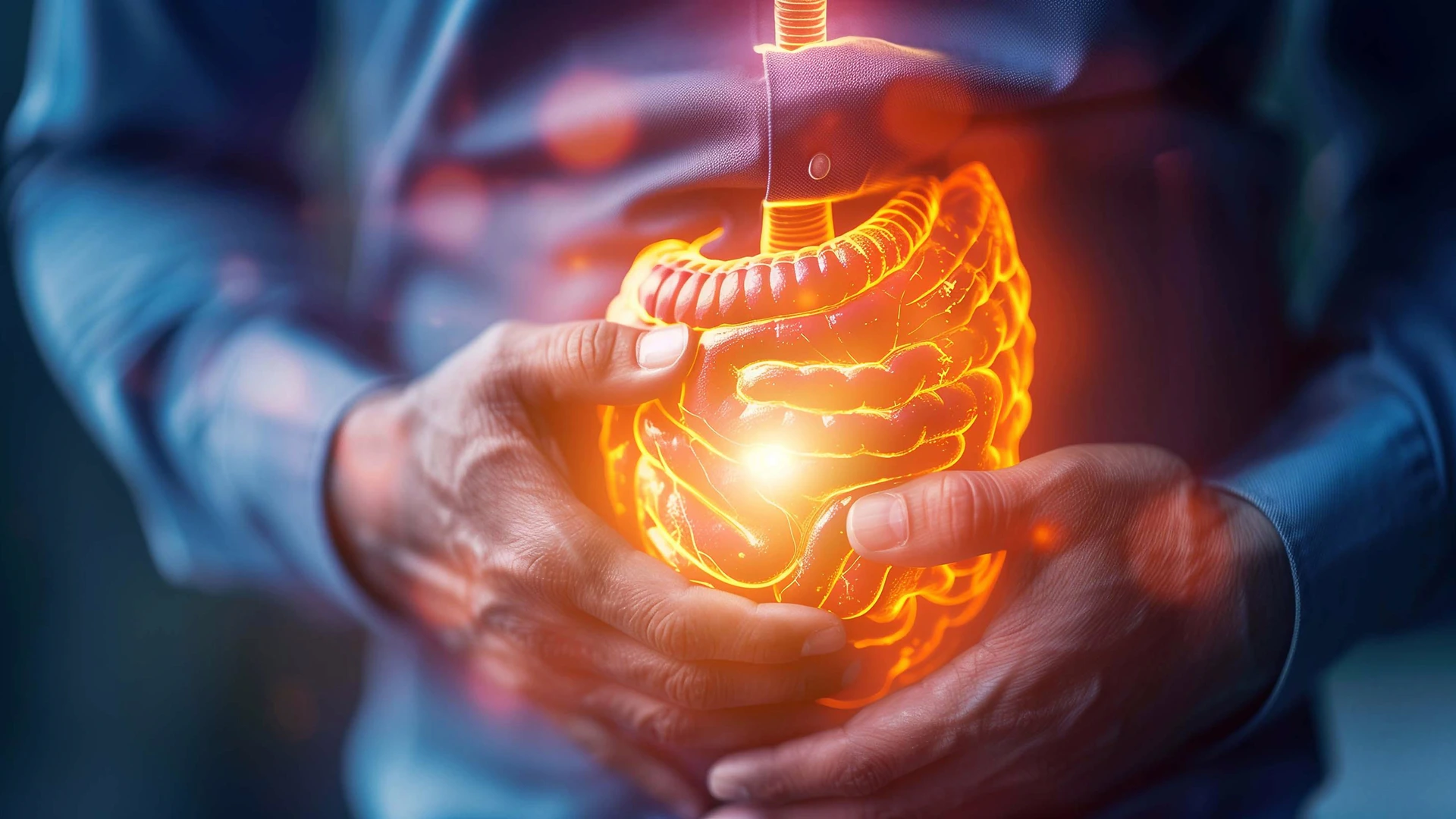 Gastrointestinal tedavi alanı görseli