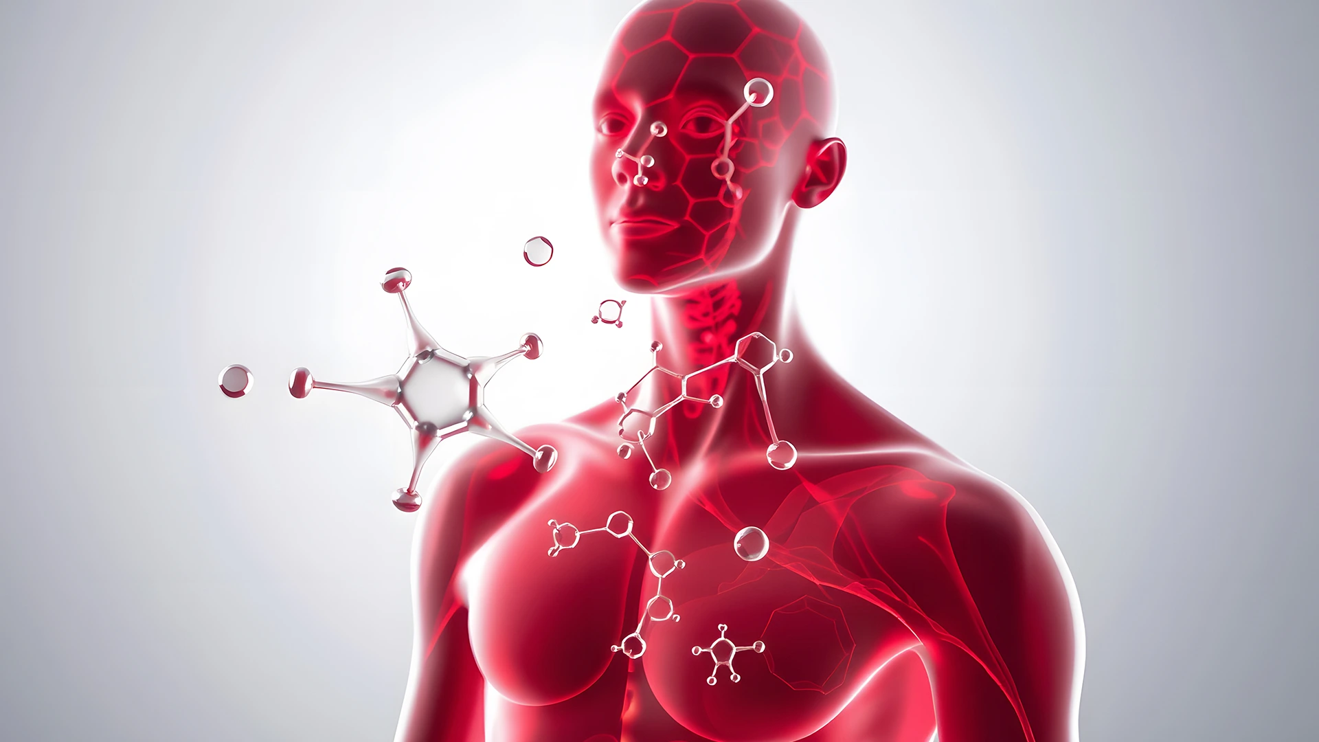 Endokrin ve Metabolizma tedavi alanı görseli