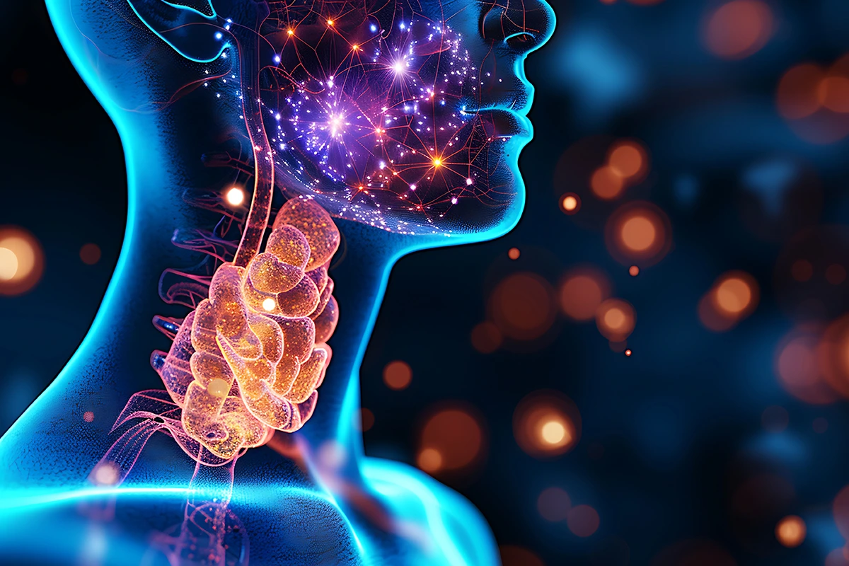 Endokrin ve Metabolizma